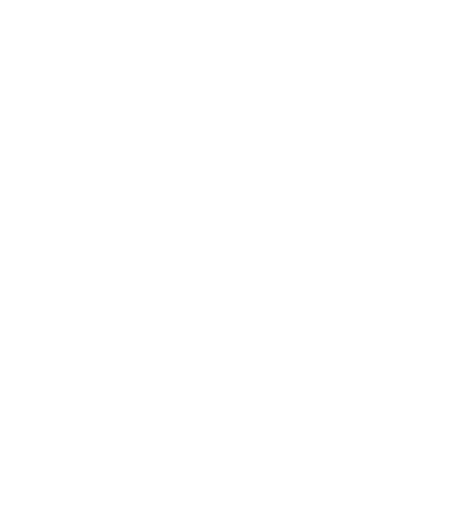 nizami